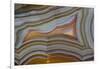 Banded Agate, Sammamish, Washington-Darrell Gulin-Framed Photographic Print