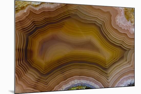 Banded Agate, Sammamish, Washington-Darrell Gulin-Mounted Photographic Print