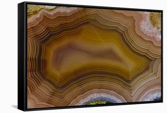 Banded Agate, Sammamish, Washington-Darrell Gulin-Framed Stretched Canvas