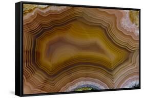 Banded Agate, Sammamish, Washington-Darrell Gulin-Framed Stretched Canvas