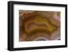 Banded Agate, Sammamish, Washington-Darrell Gulin-Framed Photographic Print