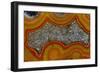 Banded Agate, Sammamish, Washington-Darrell Gulin-Framed Photographic Print