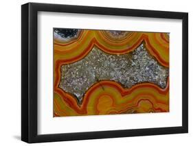 Banded Agate, Sammamish, Washington-Darrell Gulin-Framed Photographic Print