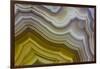 Banded Agate, Sammamish, Washington-Darrell Gulin-Framed Photographic Print