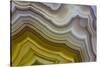 Banded Agate, Sammamish, Washington-Darrell Gulin-Stretched Canvas