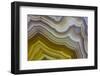 Banded Agate, Sammamish, Washington-Darrell Gulin-Framed Photographic Print