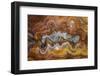 Banded Agate, Sammamish, Washington-Darrell Gulin-Framed Photographic Print