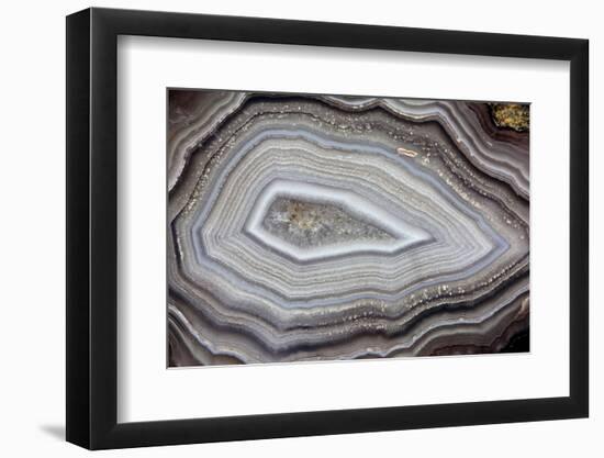 Banded Agate, Sammamish, Washington-Darrell Gulin-Framed Photographic Print