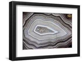 Banded Agate, Sammamish, Washington-Darrell Gulin-Framed Photographic Print