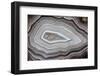 Banded Agate, Sammamish, Washington-Darrell Gulin-Framed Photographic Print