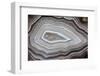 Banded Agate, Sammamish, Washington-Darrell Gulin-Framed Photographic Print