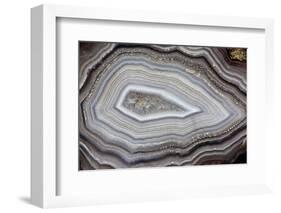 Banded Agate, Sammamish, Washington-Darrell Gulin-Framed Photographic Print