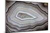 Banded Agate, Sammamish, Washington-Darrell Gulin-Mounted Photographic Print