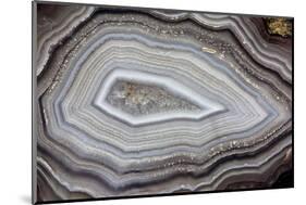 Banded Agate, Sammamish, Washington-Darrell Gulin-Mounted Photographic Print