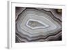 Banded Agate, Sammamish, Washington-Darrell Gulin-Framed Photographic Print