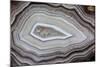 Banded Agate, Sammamish, Washington-Darrell Gulin-Mounted Photographic Print