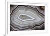 Banded Agate, Sammamish, Washington-Darrell Gulin-Framed Photographic Print