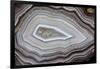 Banded Agate, Sammamish, Washington-Darrell Gulin-Framed Photographic Print