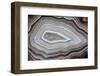 Banded Agate, Sammamish, Washington-Darrell Gulin-Framed Premium Photographic Print