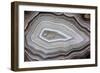 Banded Agate, Sammamish, Washington-Darrell Gulin-Framed Photographic Print