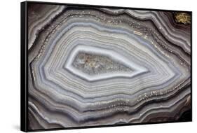 Banded Agate, Sammamish, Washington-Darrell Gulin-Framed Stretched Canvas