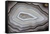 Banded Agate, Sammamish, Washington-Darrell Gulin-Framed Stretched Canvas