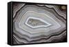 Banded Agate, Sammamish, Washington-Darrell Gulin-Framed Stretched Canvas