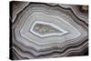 Banded Agate, Sammamish, Washington-Darrell Gulin-Stretched Canvas