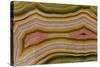 Banded Agate, Sammamish, Washington-Darrell Gulin-Stretched Canvas