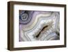 Banded Agate, Sammamish, Washington-Darrell Gulin-Framed Photographic Print