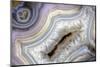 Banded Agate, Sammamish, Washington-Darrell Gulin-Mounted Photographic Print