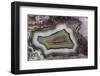 Banded Agate, Sammamish, Washington-Darrell Gulin-Framed Photographic Print