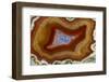 Banded Agate, Sammamish, Washington-Darrell Gulin-Framed Photographic Print