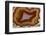 Banded Agate, Sammamish, Washington-Darrell Gulin-Framed Photographic Print