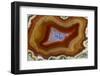 Banded Agate, Sammamish, Washington-Darrell Gulin-Framed Photographic Print