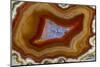 Banded Agate, Sammamish, Washington-Darrell Gulin-Mounted Photographic Print