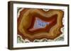 Banded Agate, Sammamish, Washington-Darrell Gulin-Framed Photographic Print