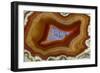 Banded Agate, Sammamish, Washington-Darrell Gulin-Framed Photographic Print