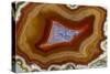 Banded Agate, Sammamish, Washington-Darrell Gulin-Stretched Canvas