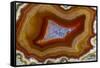 Banded Agate, Sammamish, Washington-Darrell Gulin-Framed Stretched Canvas