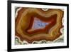 Banded Agate, Sammamish, Washington-Darrell Gulin-Framed Photographic Print