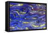 Banded Iron II-Douglas Taylor-Framed Stretched Canvas