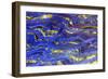 Banded Iron II-Douglas Taylor-Framed Photographic Print