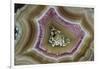 Banded Mexican Agate, Sammamish, WA-Darrell Gulin-Framed Photographic Print