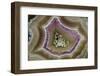 Banded Mexican Agate, Sammamish, WA-Darrell Gulin-Framed Photographic Print