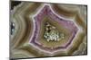 Banded Mexican Agate, Sammamish, WA-Darrell Gulin-Mounted Photographic Print