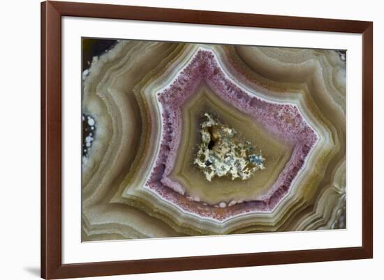 Banded Mexican Agate, Sammamish, WA-Darrell Gulin-Framed Photographic Print