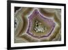 Banded Mexican Agate, Sammamish, WA-Darrell Gulin-Framed Photographic Print