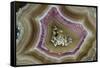 Banded Mexican Agate, Sammamish, WA-Darrell Gulin-Framed Stretched Canvas