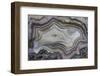 Banded Mexican Agate, Sammamish, WA-Darrell Gulin-Framed Photographic Print